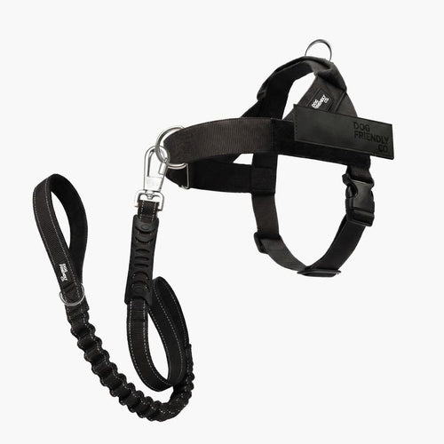 Tloomr Dog Friendly Harness