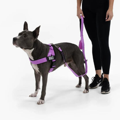 Tloomr Dog Friendly Harness