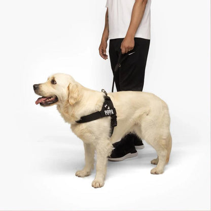 Tloomr Dog Friendly Harness
