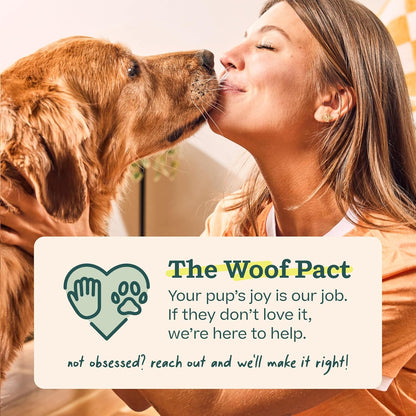 WOOF Pupsicle - Long-Lasting Interactive Dog Ball Toy to Keep Your Pup Busy and Distracted - Safe for Dogs - Low-Mess Design - Dog Toys for Medium and Large Dogs 25-75 lbs